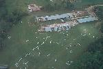 Chicken house damage just northeast of Rainsville